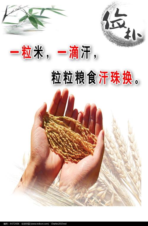 安大略省艺术学院毕业证电子图